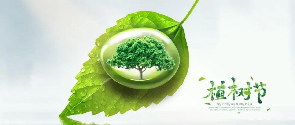 【精神文明建設(shè)】不負(fù)好春光 植樹添新綠│鄭投產(chǎn)業(yè)園組織開展植樹活動